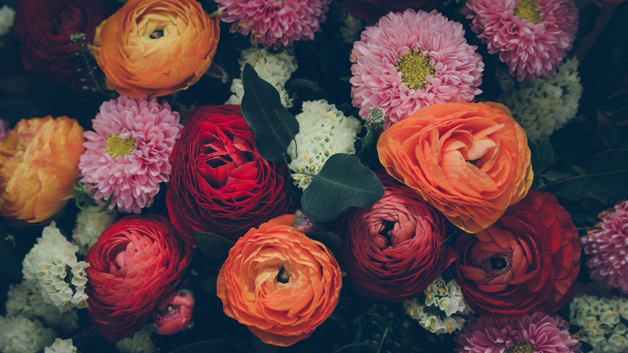 Austin Womb Service — holistic midwife and birth doula care in Austin, Texas