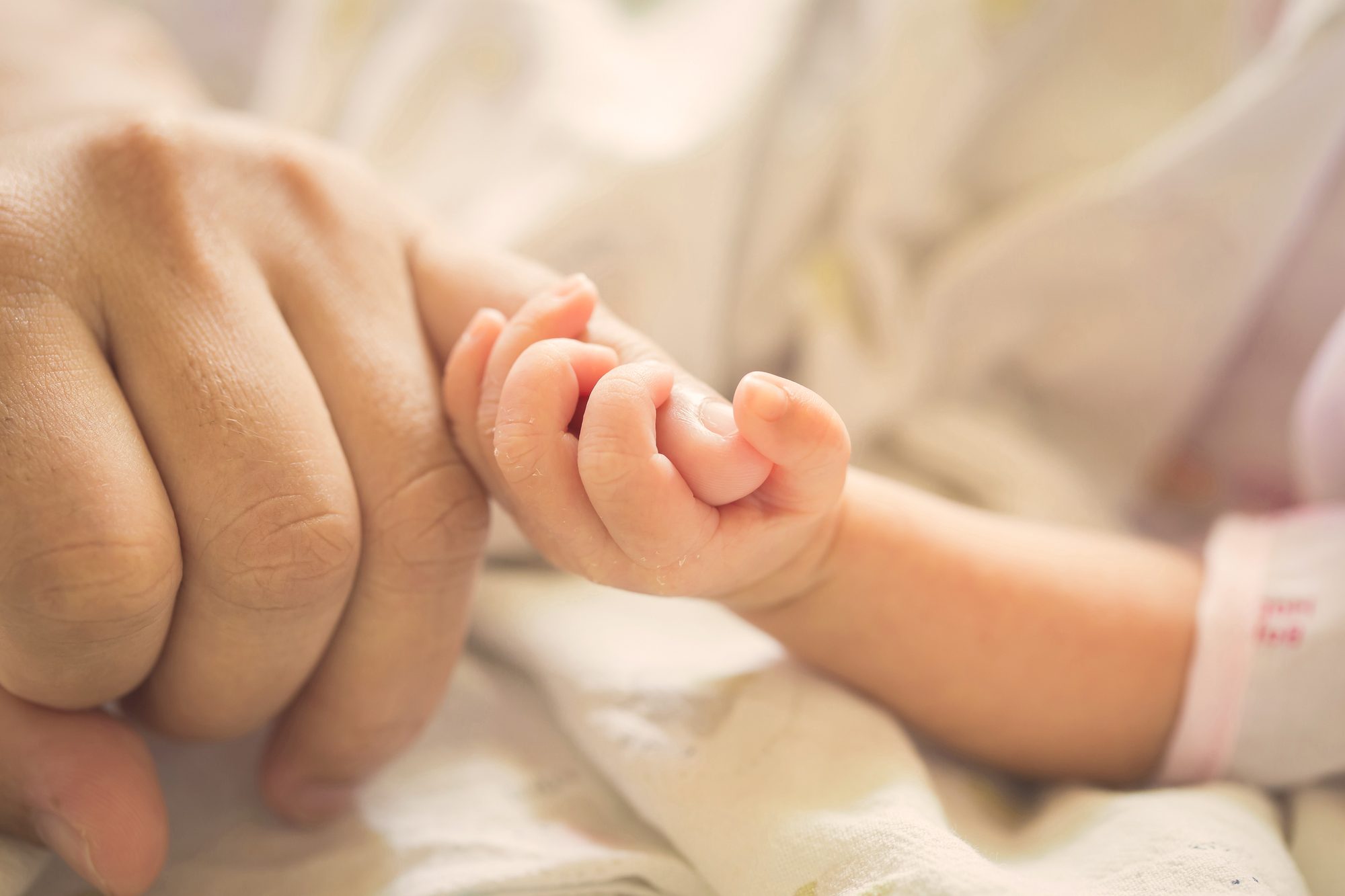 Austin Womb Service — holistic midwife and birth doula care in Austin, Texas