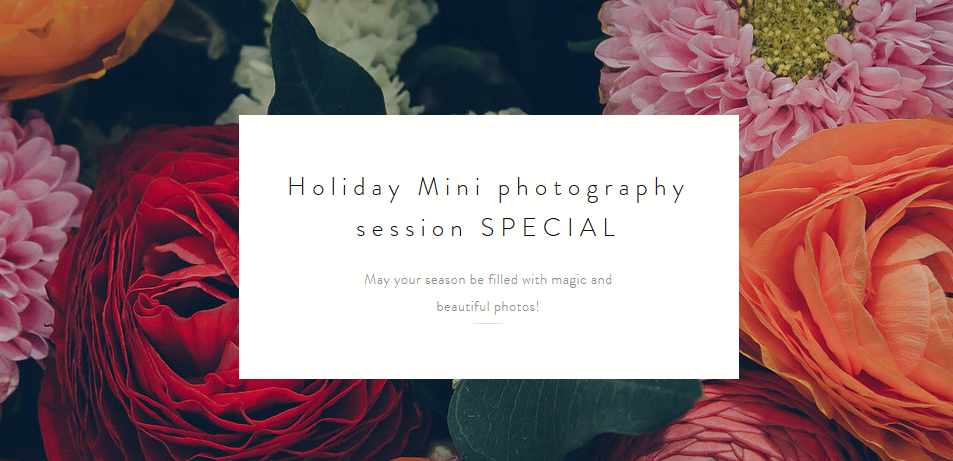 Holiday Mini Photography session