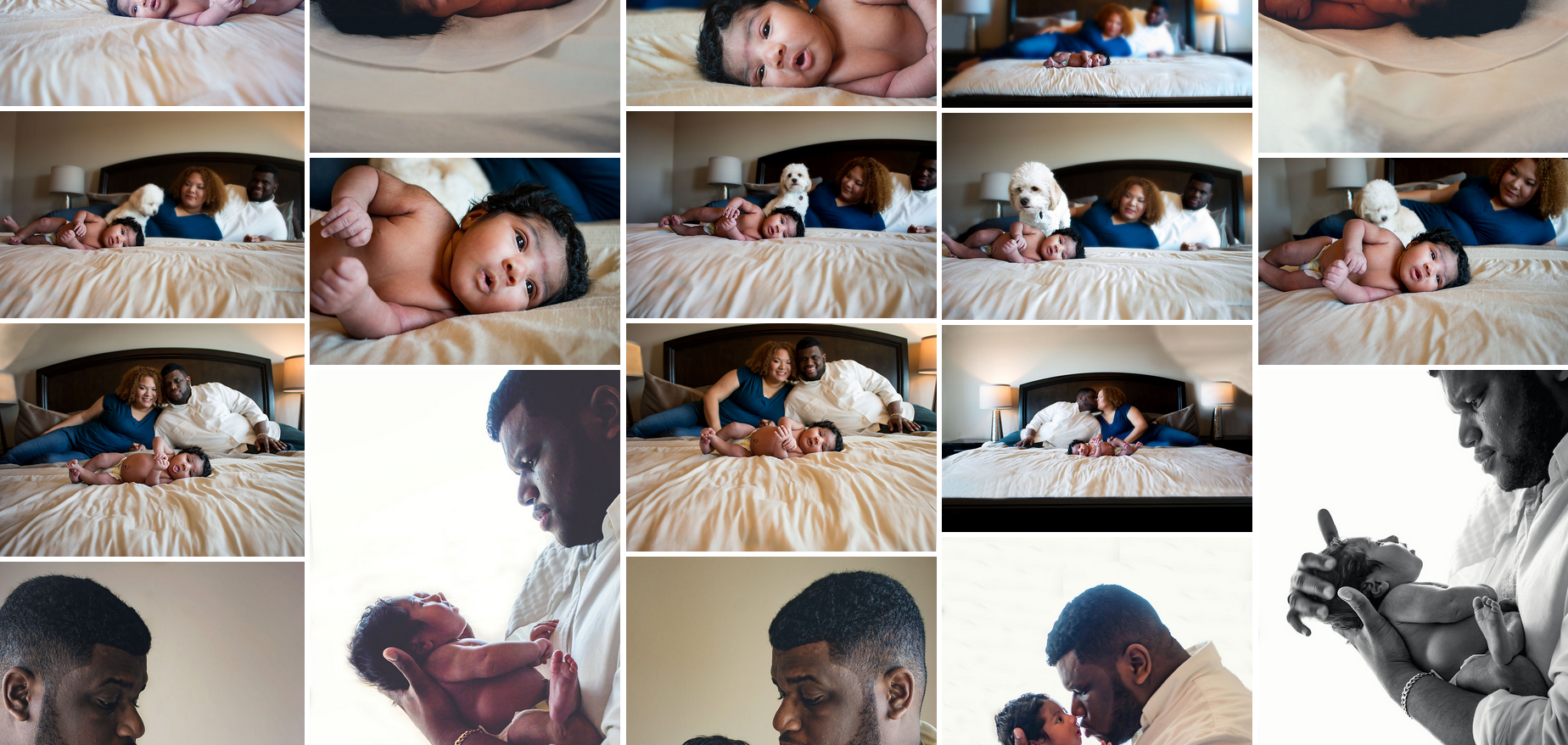 All DIGITAL NEWBORN images downloaded from gallery