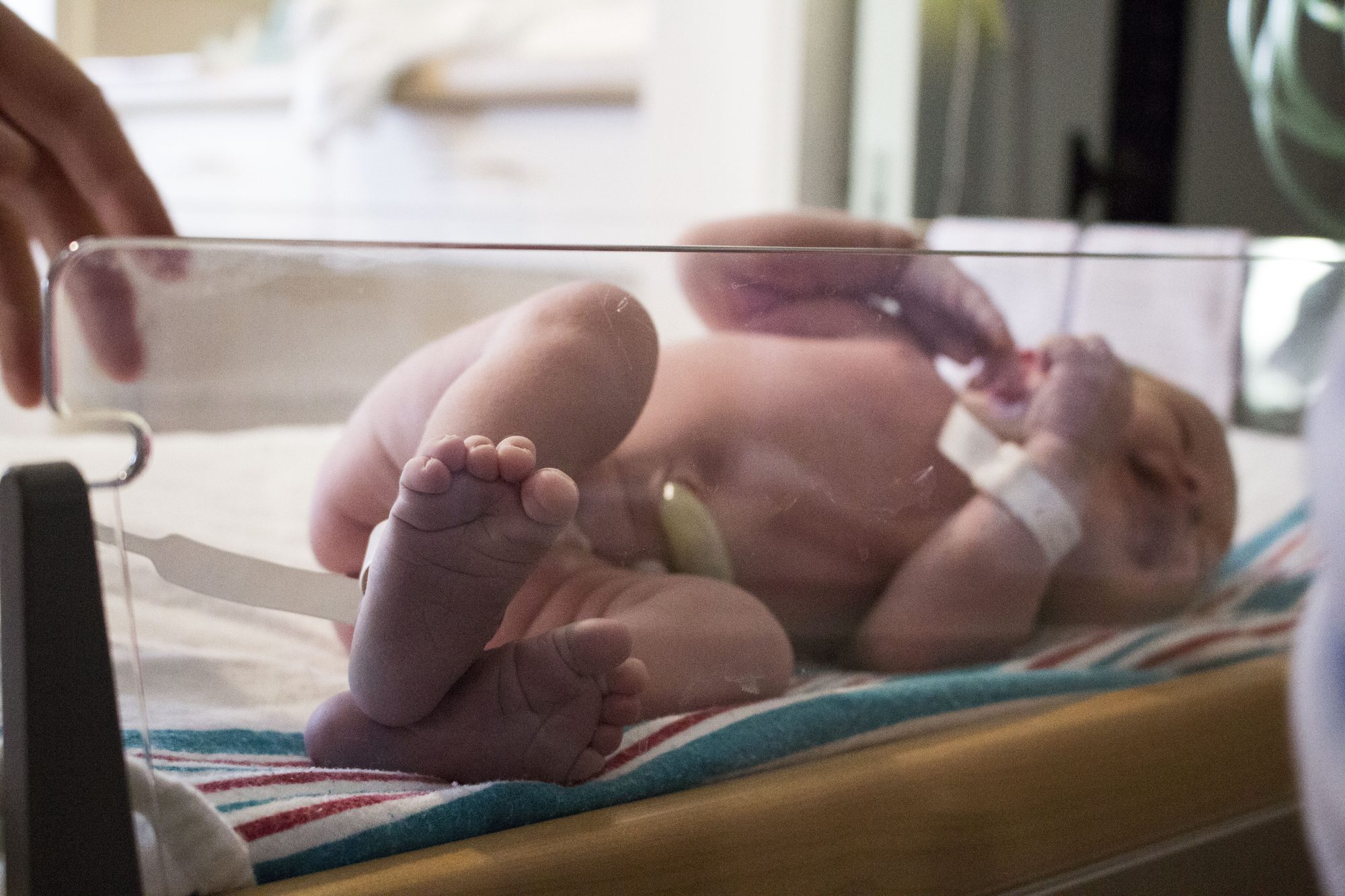 Austin Womb Service — holistic midwife and birth doula care in Austin, Texas